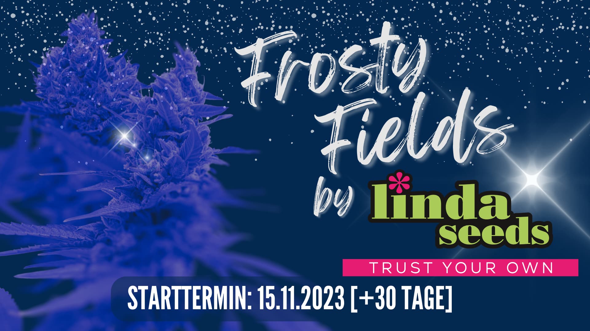 Frosty Fields by Linda Seeds — Contest-Cover