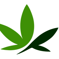 Bonsanto Logo