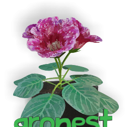Gronest Logo