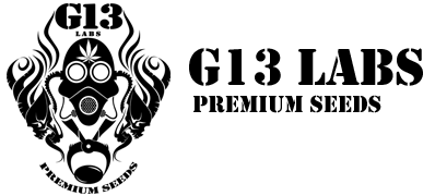 G13 Labs Logo