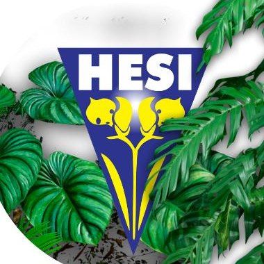 Hesi Logo