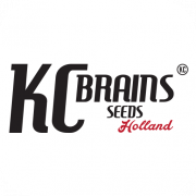 Kc Brains Logo