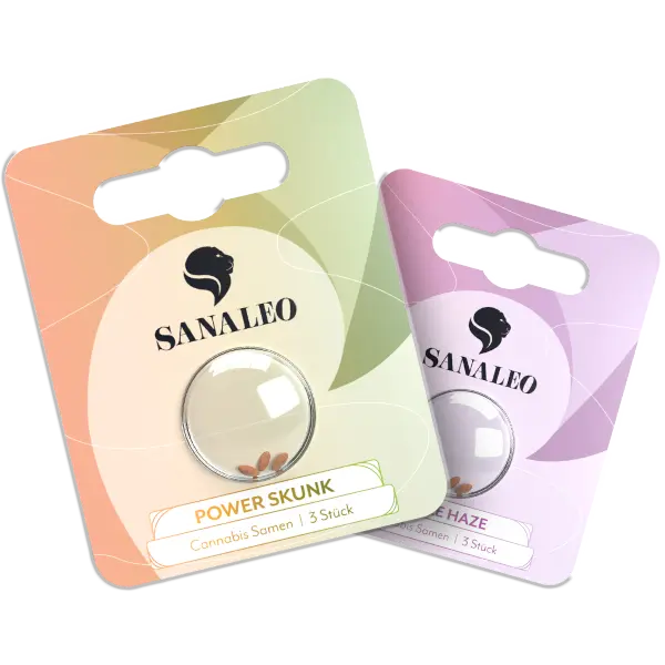 Sanaleo Logo