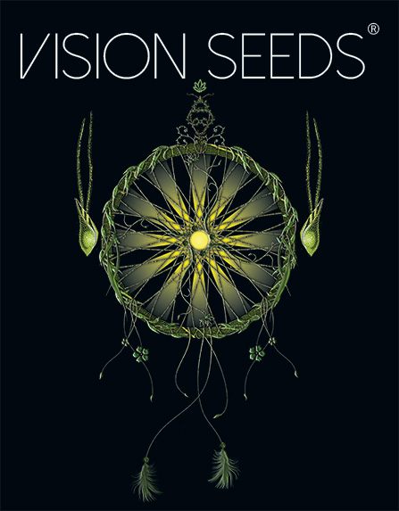 Vision Seeds Logo