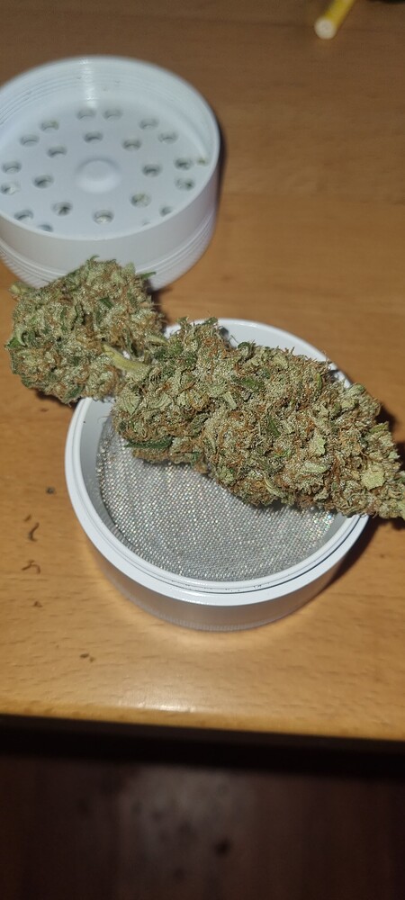 OG's Lemon Grow 🍋