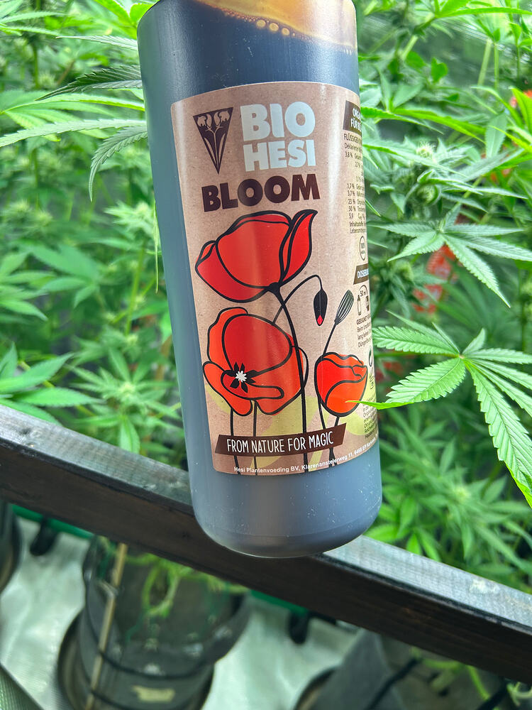 Growreport Bild 7