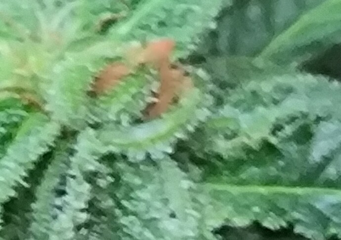Growreport Bild 13