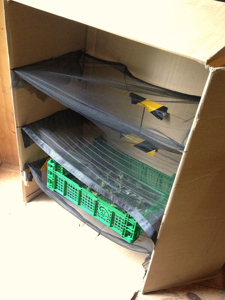Growreport Bild 5