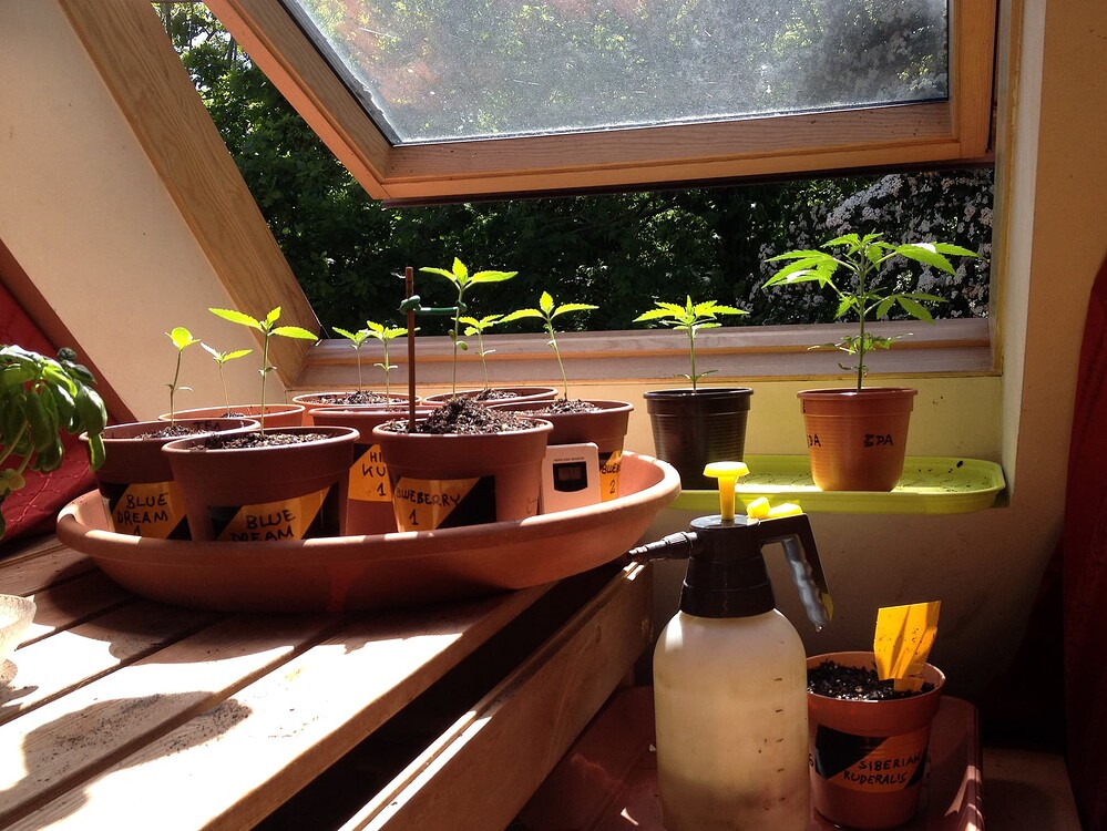 Growreport Bild 36