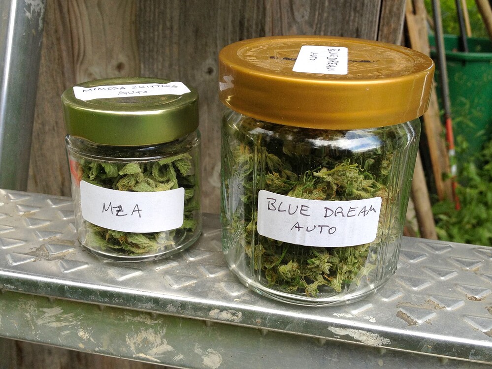 Growreport Bild 19