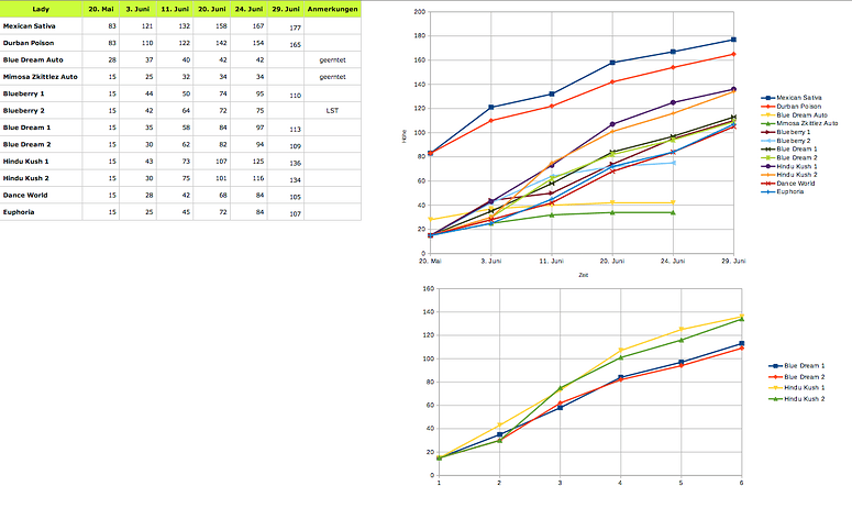 Growreport Bild 22
