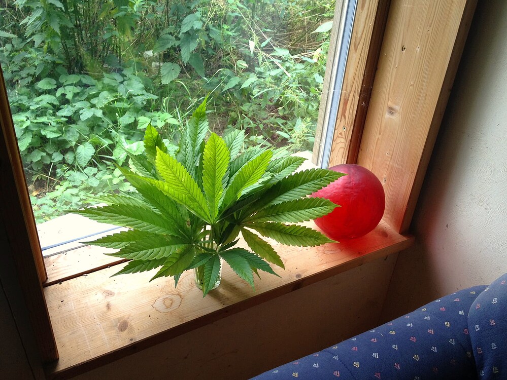 Growreport Bild 6