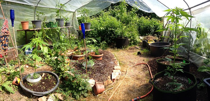 Growreport Bild 27