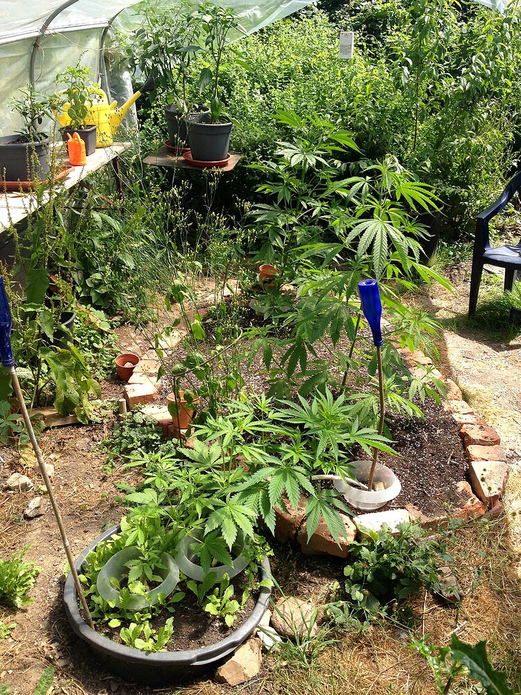 Growreport Bild 15