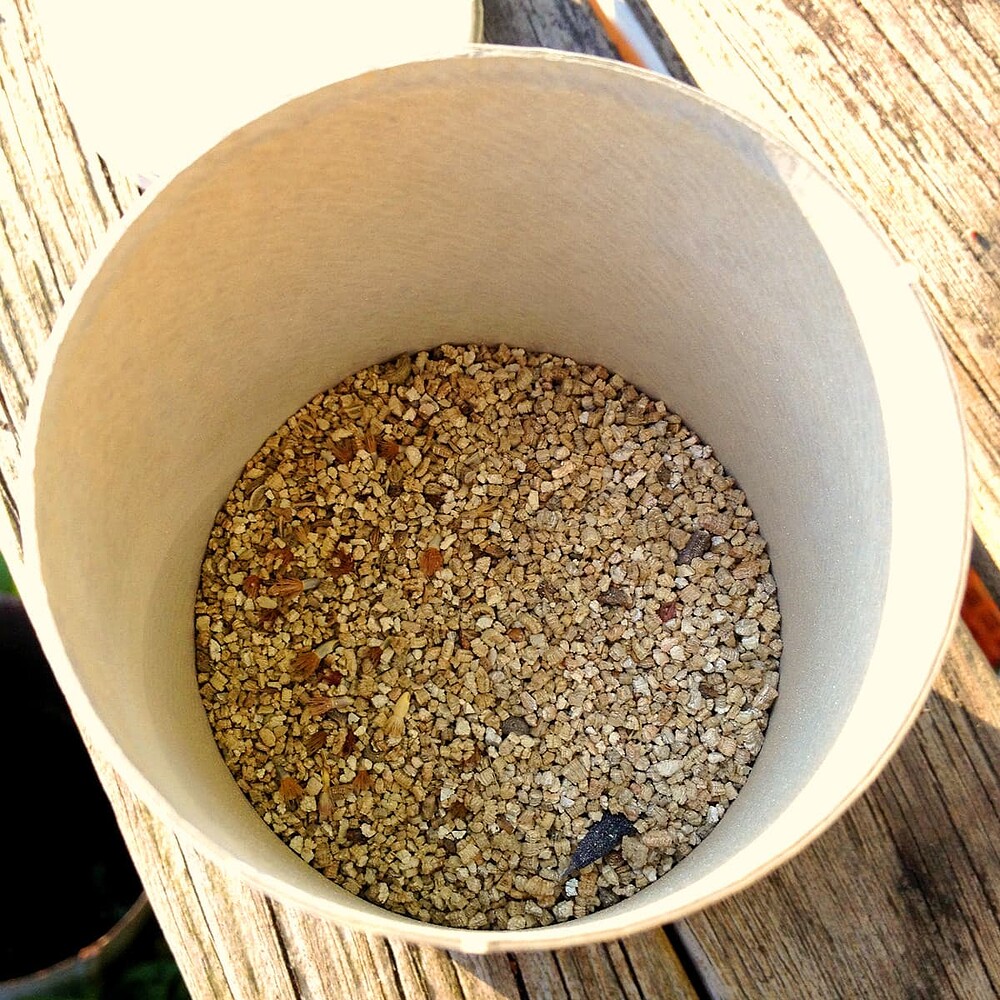 Growreport Bild 10