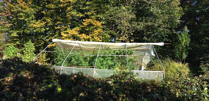 Growreport Bild 5