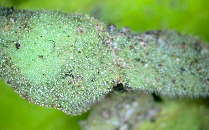 Growreport Bild 13