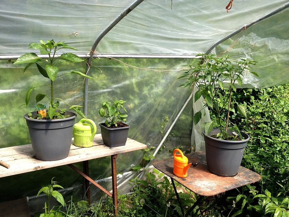 Growreport Bild 23