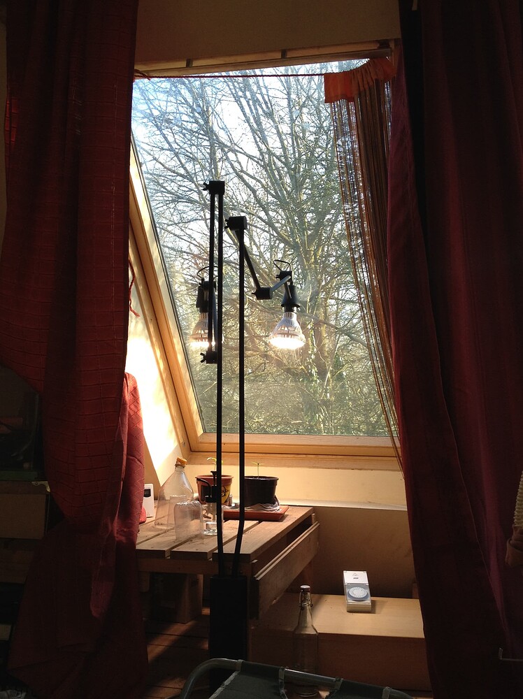 Growreport Bild 7