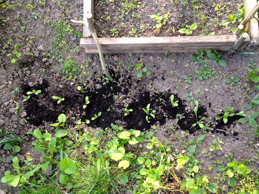 Growreport Bild 24