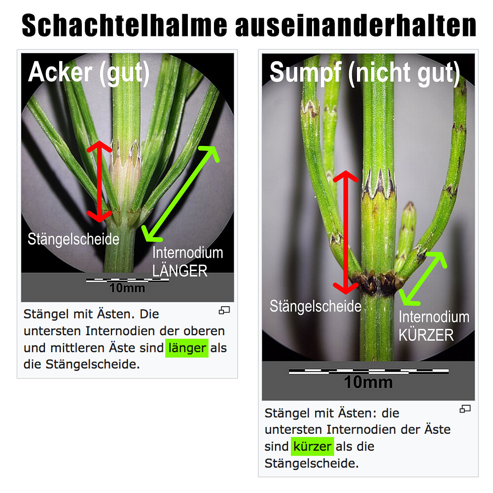 Growreport Bild 9