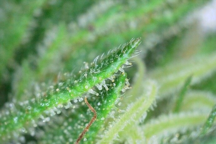 Growreport Bild 10