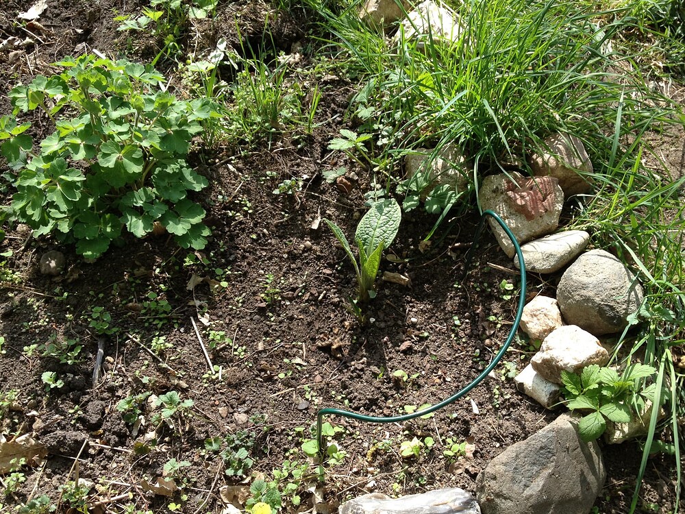 Growreport Bild 47
