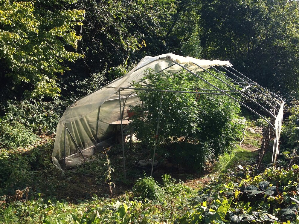 Growreport Bild 1