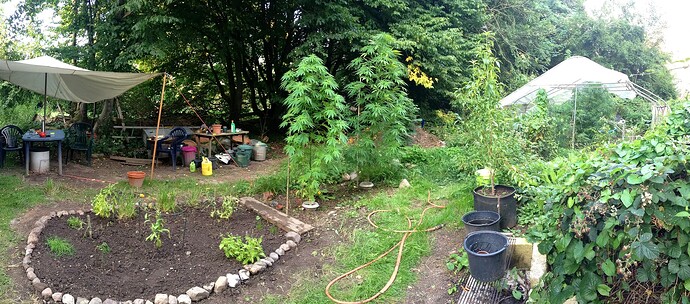 Growreport Bild 28