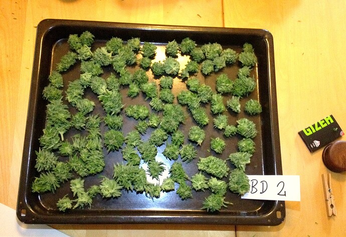 Growreport Bild 15