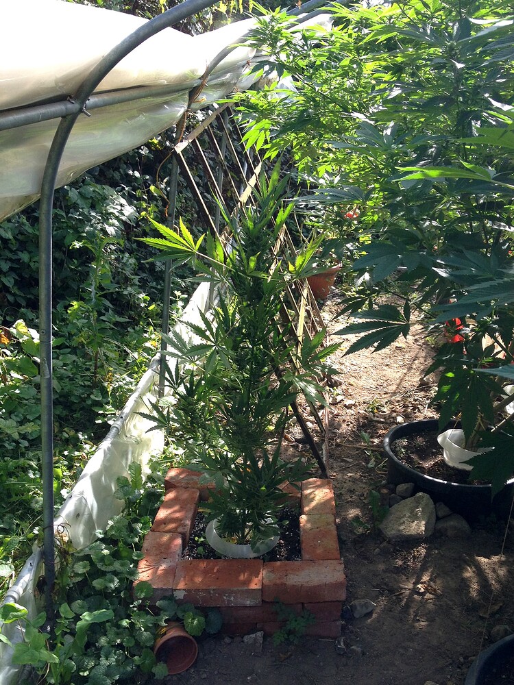 Growreport Bild 47