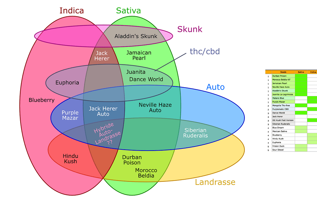 Ein Venn-Diagramm, das verschiedene Cannabis-Eigenschaften wie Indica, Sativa, Skunk, THC/CBD, Auto und Landrasse sowie deren Überschneidungen und zugehörige Sortennamen darstellt.