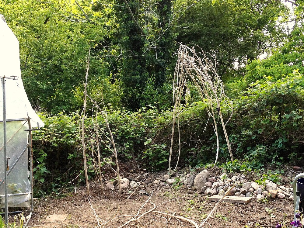 Growreport Bild 11
