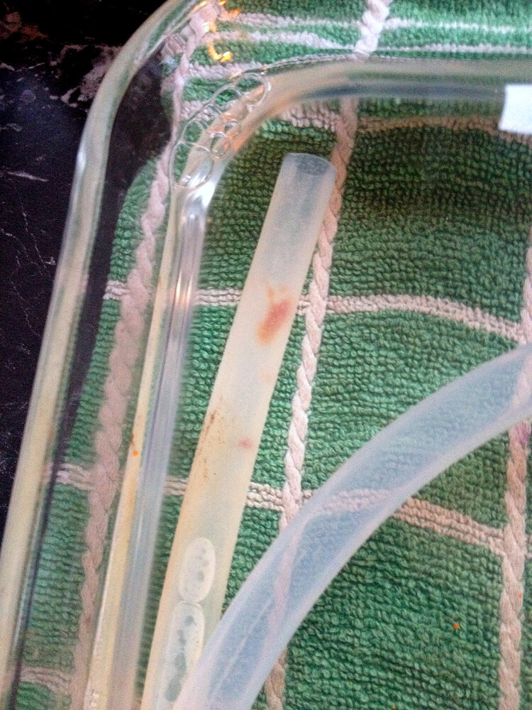 Ein Silikonschlauch und Glasteile eines Vaporizers liegen in einer mit Wasser gefüllten Schale auf einem grünen Handtuch zur Reinigung.