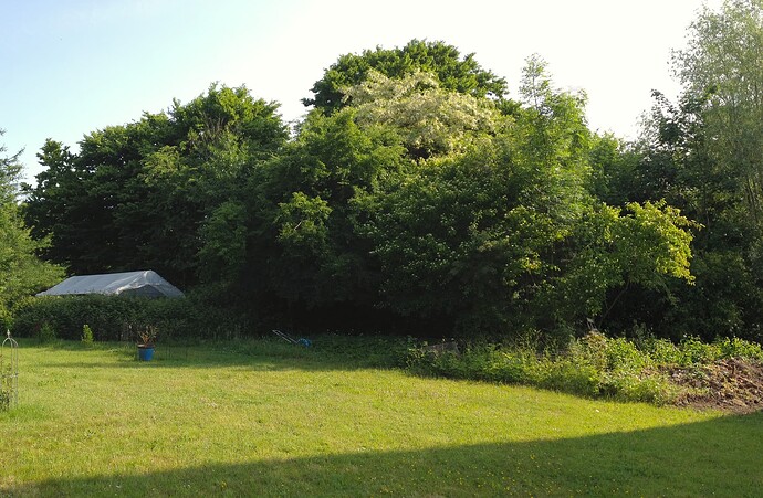 Ein Gartenbereich am Morgen mit einem Wiesenspot, der bereits von der Sonne beschienen wird, während der Bauerngarten noch im Schatten liegt.