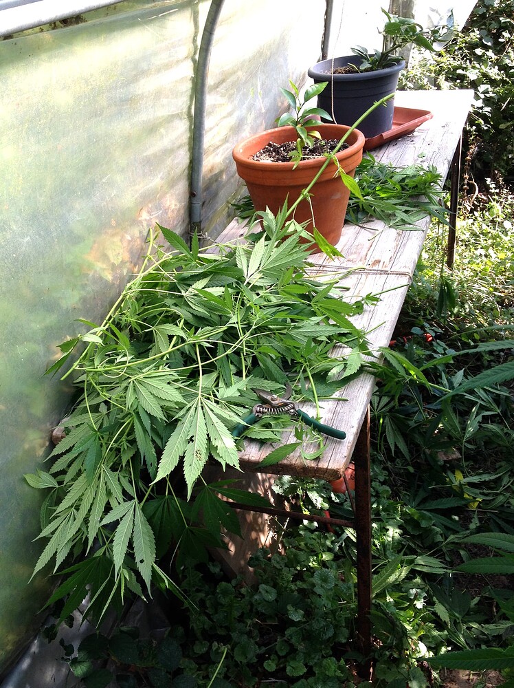 Growreport Bild 13