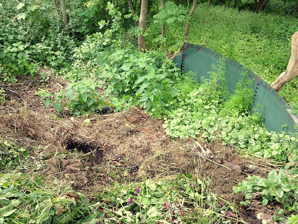Ein Gartenbereich mit einer grünen Metallbarriere, Erde, Mulch und verschiedenen Wildpflanzen, der als Teil eines Outdoor-Grows vorbereitet wird.