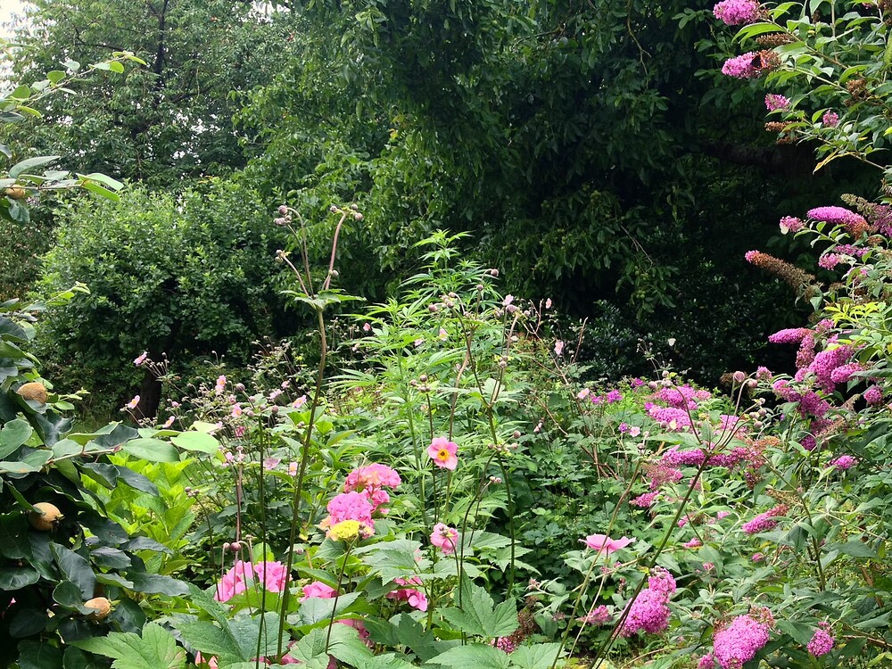 Growreport Bild 19