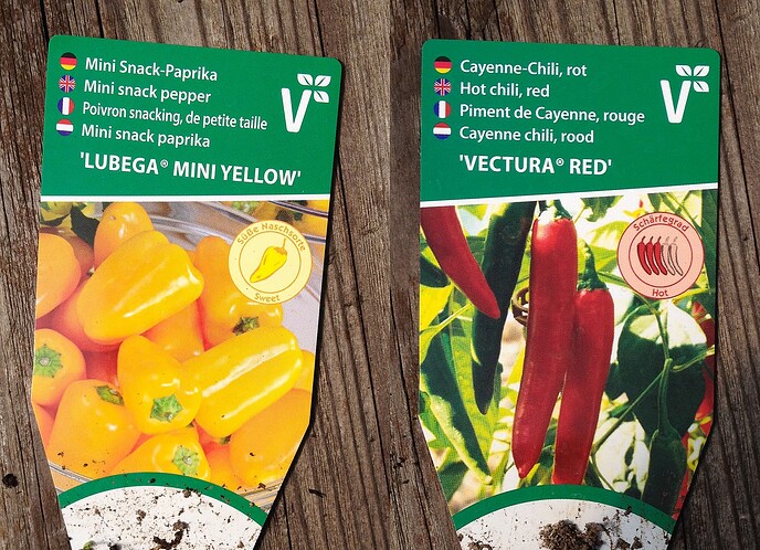 Zwei Pflanzenetiketten für 'Lubega Mini Yellow' Mini-Snack-Paprika und 'Vectura Red' Cayenne-Chili auf einem Holzuntergrund.