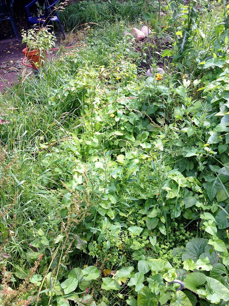 Growreport Bild 15