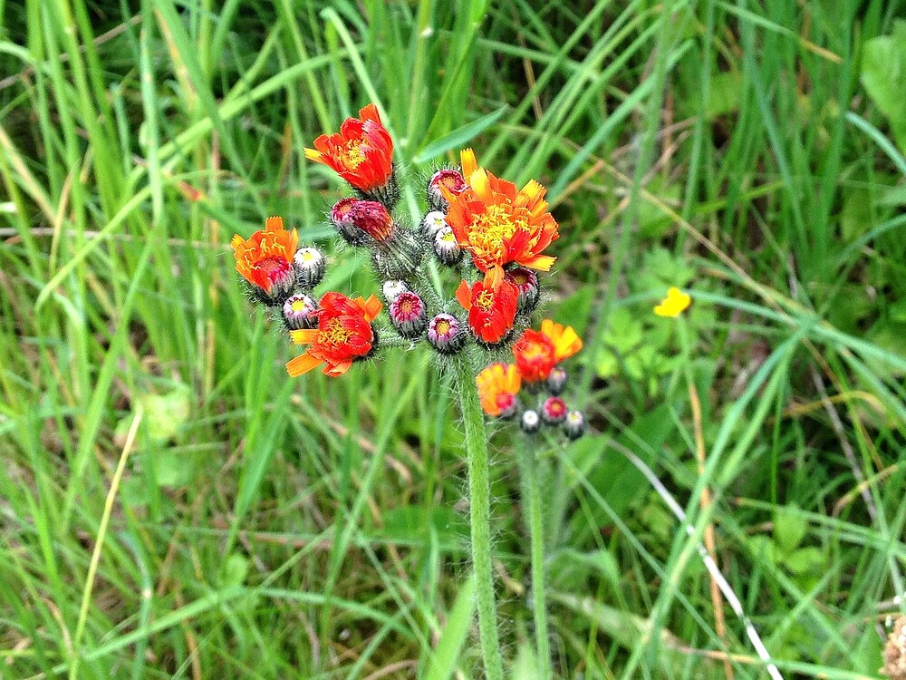Growreport Bild 16
