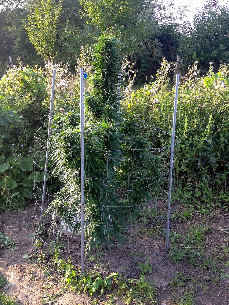Growreport Bild 21