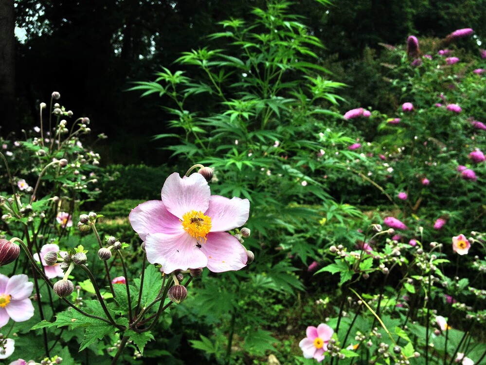Growreport Bild 14
