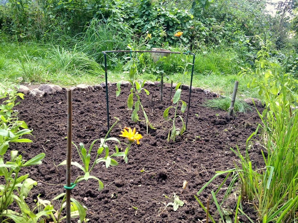 Growreport Bild 8