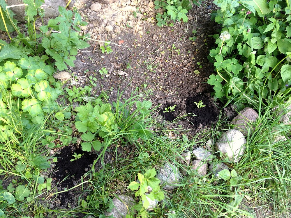 Growreport Bild 25