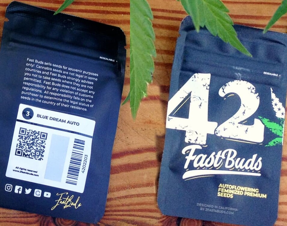 Zwei Packungen von Fast Buds Samen, eine davon zeigt die Sorte Blue Dream Auto, im Hintergrund sind Cannabisblätter zu sehen.