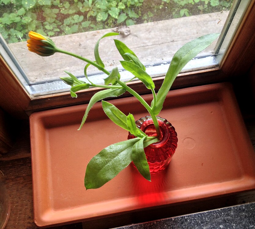 Growreport Bild 22
