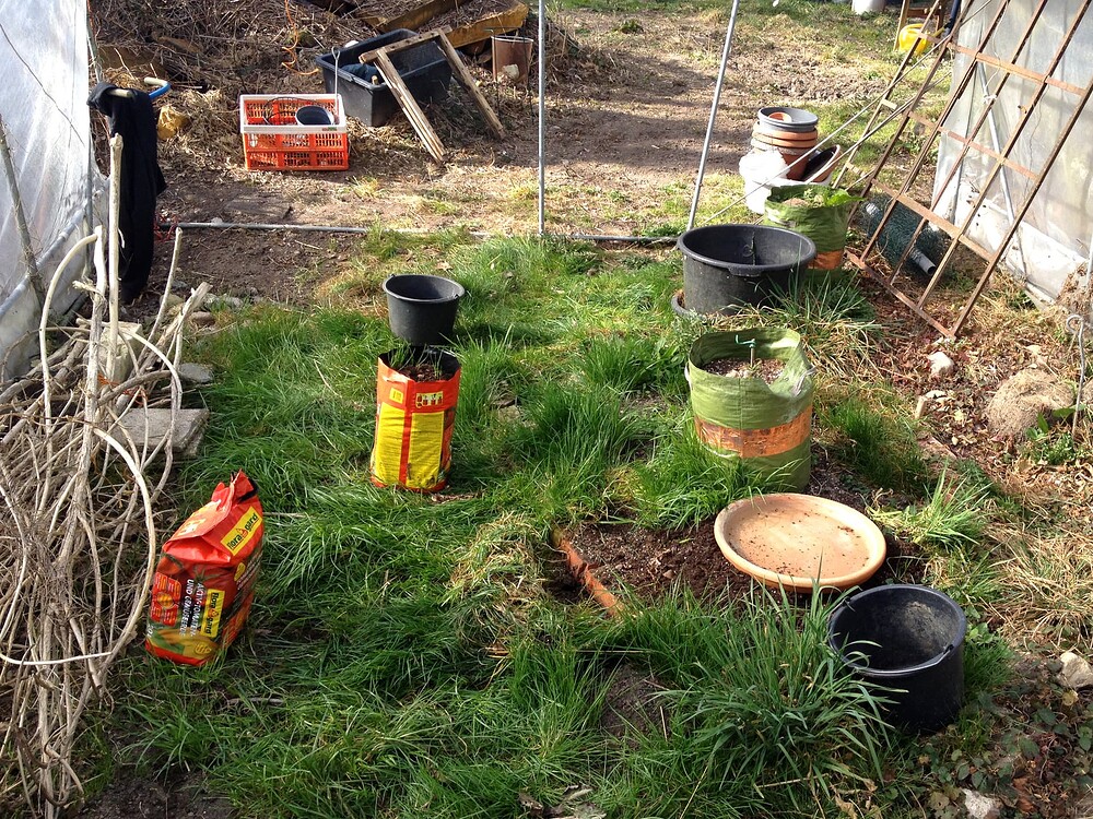 Growreport Bild 31