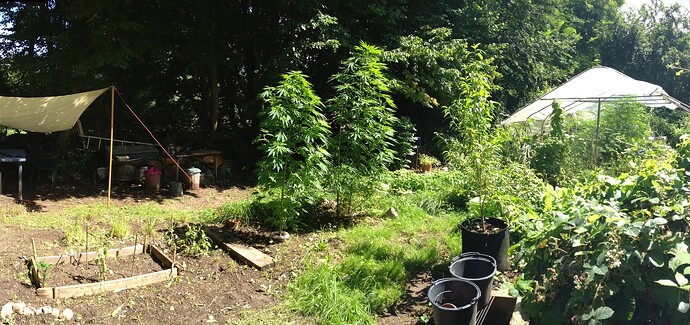 Growreport Bild 1