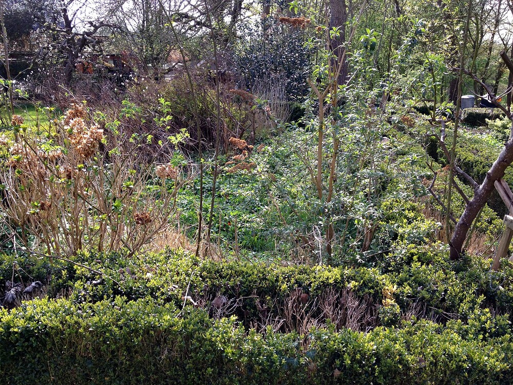 Growreport Bild 50